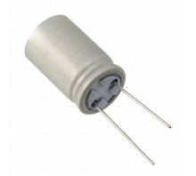 UBX2C101MHL1TN-Bild.