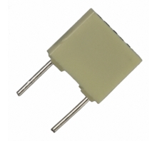 R82DC3100AA50J-Bild.