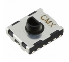 RW-1106 NS RT-Bild.