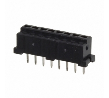 DF3-8S-2DSA(55)-Bild.