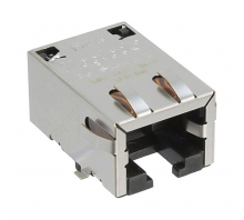 S811-1X1T-36-F-Bild.