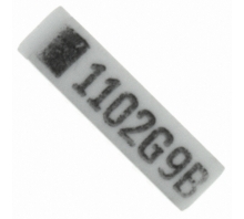 753101102GTR-Bild.