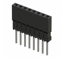ESQ-108-24-T-S-Bild.