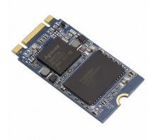 APM2T42P100064GAN-7TM-Bild.