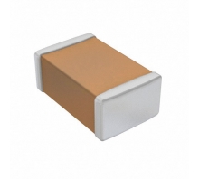 CL21A476MQ7LRNC-Bild.