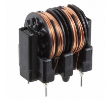 SS11V-R10093-CH-Bild.