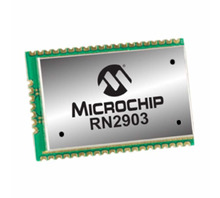RN2903A-I/RM103-Bild.