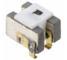 CMF-SDV09-2-Bild.