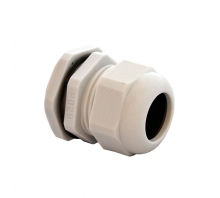 IPG-22229-G-Bild.