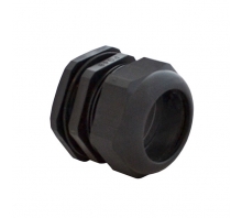 IPG-22248-Bild.