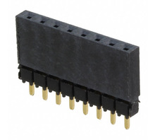 ESQ-108-12-G-S-Bild.