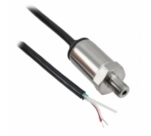 P51-50-G-B-I36-20MA-000-000-Bild.
