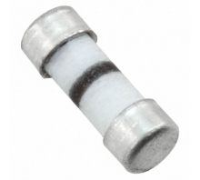 C308F100MA-TR-Bild.