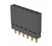 ESQ-106-12-G-S-Bild.