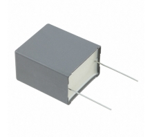 R463R447050M1K-Bild.