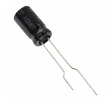 ESW107M016AE3EA-Bild.