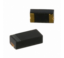 CPINF5204-HF-Bild.