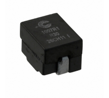 FP1007R1-R30-R-Bild.