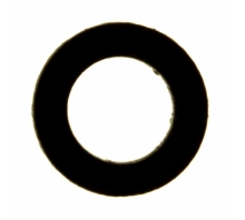 3159-Bild.
