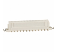 DF11Z-26DS-2V(50)-Bild.