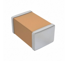 CL21A476MQ9LRNC-Bild.
