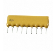 4609H-101-153LF-Bild.