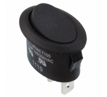 RE111C1100-Bild.