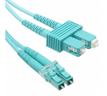 SCLC-3DTP030-Bild.