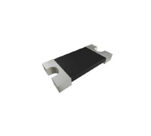 WSK1206R0120FEA-Bild.