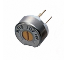 RJ13P505-Bild.