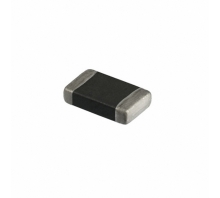 B72500T0060M060-Bild.