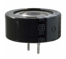 EEC-F5R5H105N-Bild.