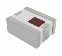 2450BP39C100BE-Bild.
