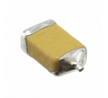 F951A336KSAAQ2-Bild.