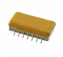 106K100CS4G-FA-Bild.