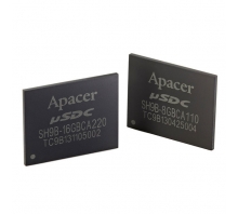 AP-USDC64GC839-DTM-Bild.