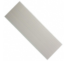 PSR1636-25-Bild.