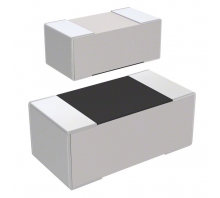 RC1005F2430CS-Bild.