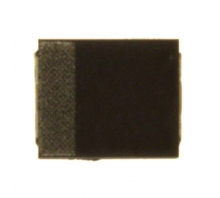 F310J476MBA-Bild.