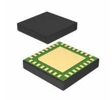 PE42540LGBC-Z-Bild.