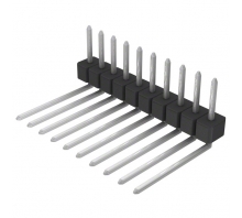 PEC10SBEN-Bild.