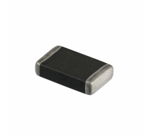 B72520T0250K062-Bild.