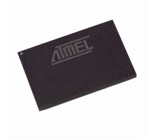 AT91FR4081-33CI-Bild.