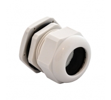 IPG-22236-G-Bild.