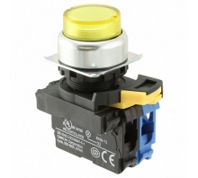 A22NL-RPM-TYA-G100-YC-Bild.