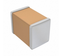 CL21X106KPYNNNE-Bild.