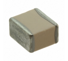 100C272JT300XT-Bild.