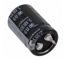 LGU2F101MELY-Bild.