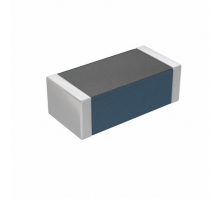HF50ACC321611-T-Bild.