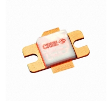 CGHV14250F-Bild.